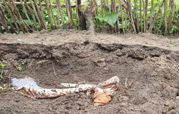 Mulher é suspeita de matar marido e enterrar o corpo no quintal da casa em Amélia Rodrigues